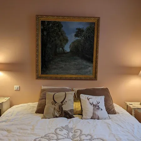 Maison 10 Pers. - Cour Privative, Cinéma, Garage, - Fr-1-653-252 *