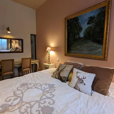 Maison 10 Pers. - Cour Privative, Cinéma, Garage, - Fr-1-653-252 Angoulême